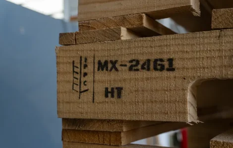 La importancia de la certificación fitosanitaria para tus tarimas de madera